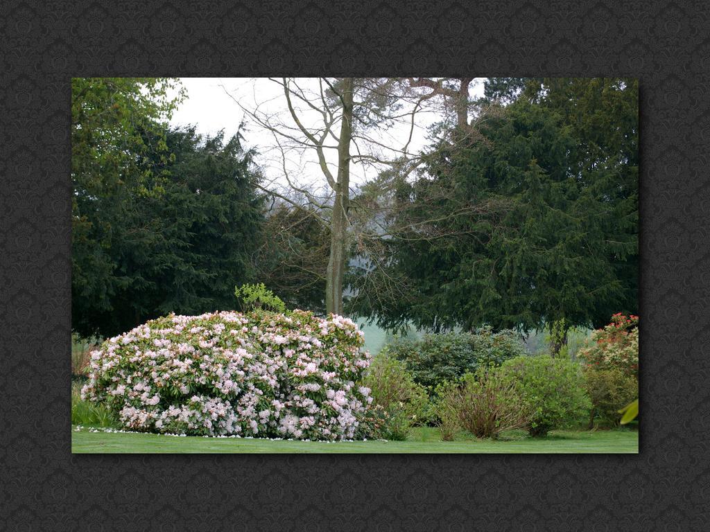 Bed and Breakfast Langrish House Petersfield Exterior foto